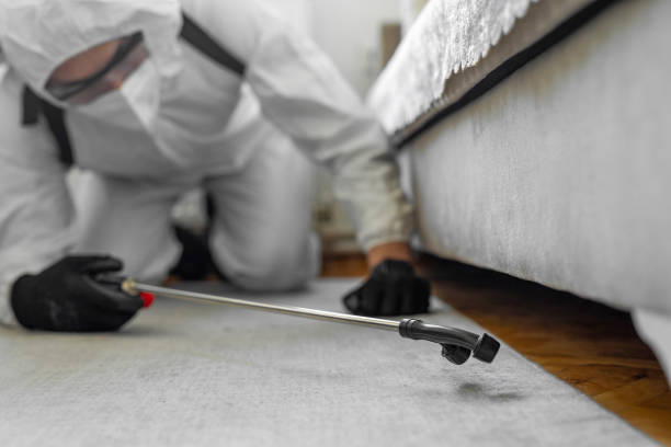 Professional Bed Bug Control technician working in Madison, NJ