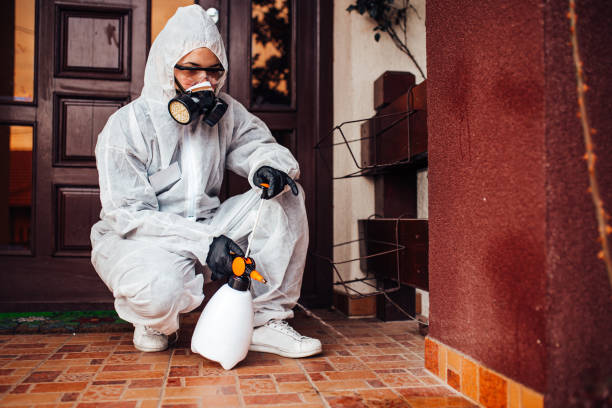 Reliable Bed Bug Control contractor in Madison, NJ by Nex Pest Control