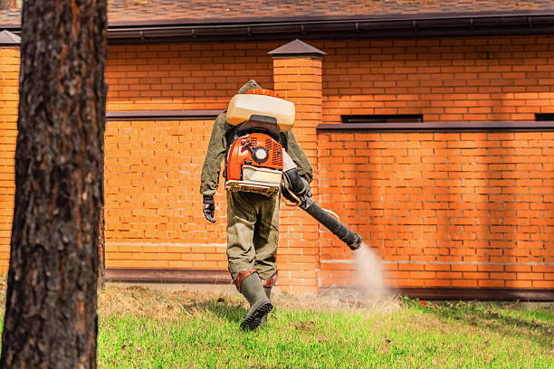 Trusted Ant Control service in Madison, NJ - Nex Pest Control